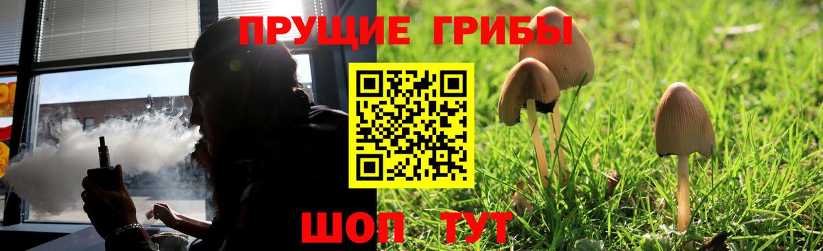 Галлюциногенные грибы Psilocybe Мурино