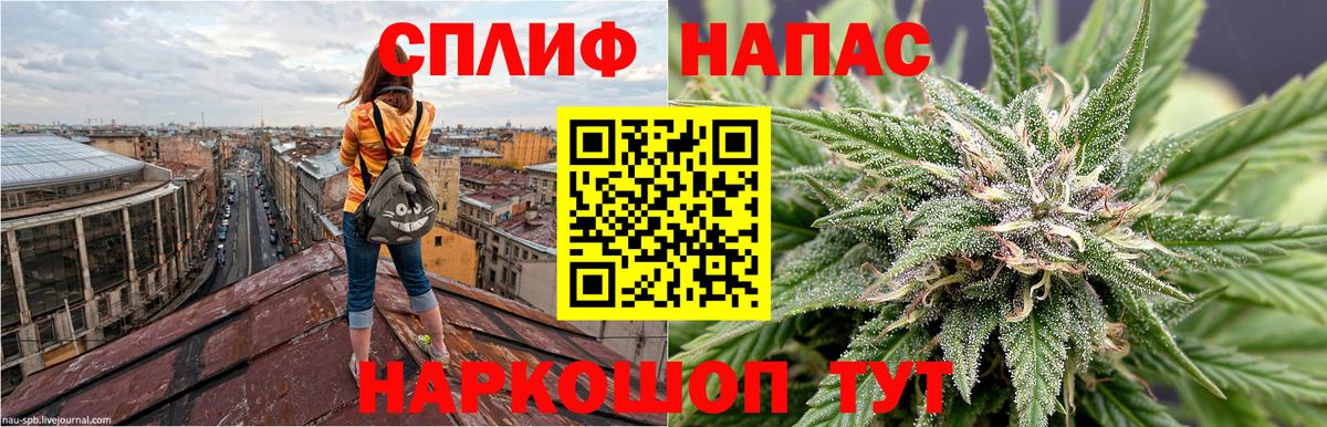 Бошки марихуана план Мурино